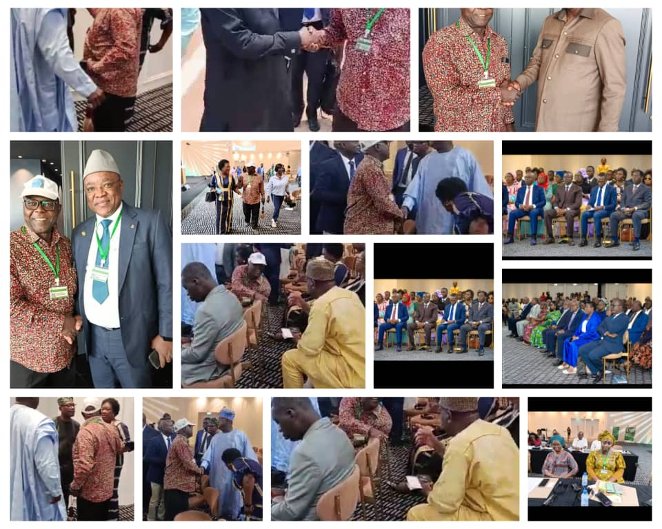 LA MOBILISATION DES RESSOURCES DOMESTIQUES POUR LA SANTÉ AU COEUR DES RÉFLEXIONS